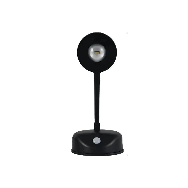 Mounted Accent Spotlight