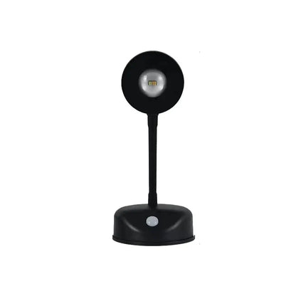 Mounted Accent Spotlight