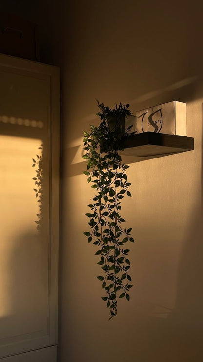 Fake Trailing Plants