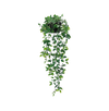 Fake Trailing Plants