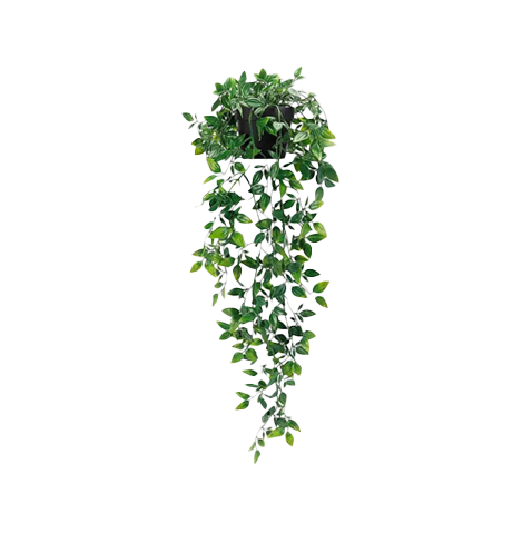 Fake Trailing Plants