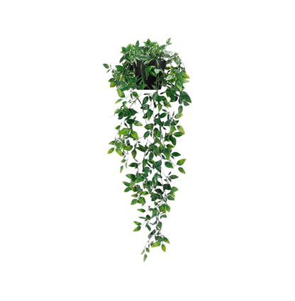 Fake Trailing Plants